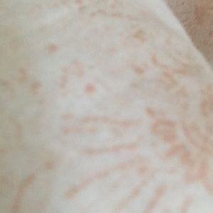 Meet your Posher, Bente